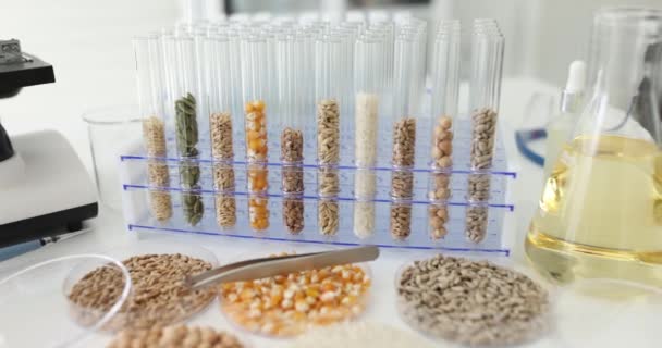 Laboratory Has Seeds Grains Test Tubes Close Assessment Quality Agricultural — Stock Video