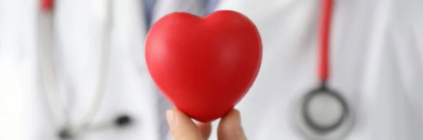 Kardiyolog Kırmızı Oyuncak Kalbi Yakından Tutuyor Doktor Kardiyoterapist Kardiyovasküler Hastalık — Stok fotoğraf