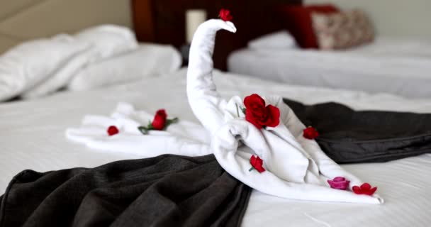 酒店房间里的白色毛巾 上面有天鹅的照片 双人床上放着玫瑰花瓣 酒店里两个人的浪漫安排 — 图库视频影像
