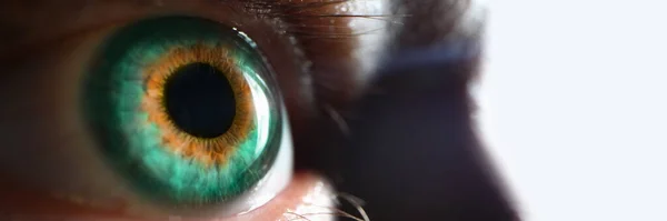 Gri Yeşil Gözün Mükemmel Makrosu Mükemmel Görüş Açısı Hyperopia Miyop — Stok fotoğraf