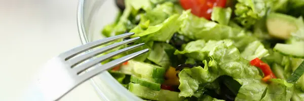 Köstlicher Vitaminfrischer Salat Mit Frischen Salattomaten Und Gurken Vegetarisches Salatkonzept — Stockfoto