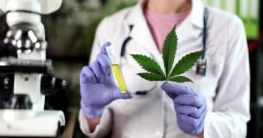 Marihuana bitkisinden çıkarılan cbd yağının laboratuvar testinde bilim adamı. Tıbbi kenevirden tıbbi eczane