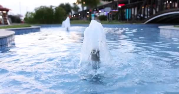 Jets Fountain Slow Motion Blue Pool Hotel Fontana Lavoro Nella — Video Stock