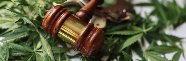 Richtergabel Und Handschellen Die Auf Grünen Marihuana Blättern Liegen Großaufnahme — Stockfoto
