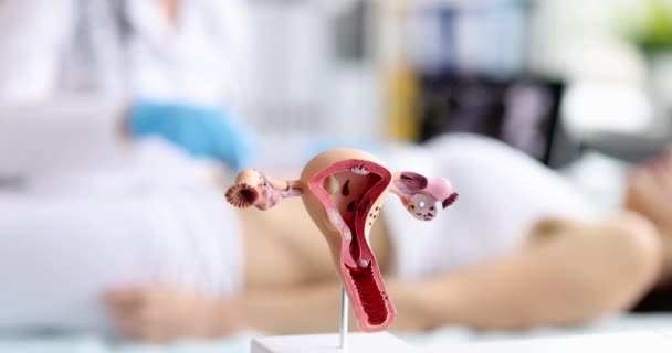Těhotná Žena Ultrazvuku Nemocnici Vyšetřující Dělohu Nemoci Ženského Reprodukčního Systému — Stock video