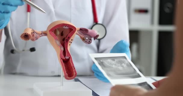 Kvinna Besöker Gynekolog Sjukhus Eller Läkarmottagning För Graviditet Och Livmoderundersökning — Stockvideo