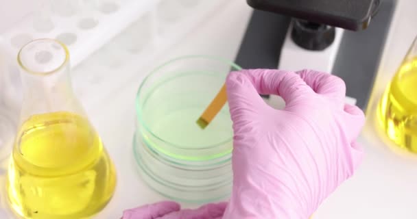 Scientist Chemist Testing Acidity Detergent Petri Dish Using Litmus Paper — Vídeo de Stock