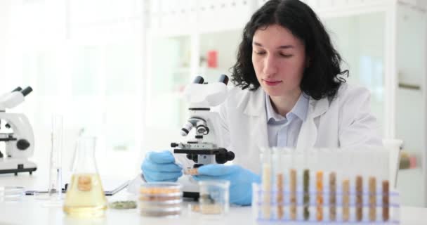 Tudósok Szemeket Vizsgálnak Laboratóriumban Mikroszkóppal Gabonaminőség Elemzés Laboratóriumi Munka — Stock videók