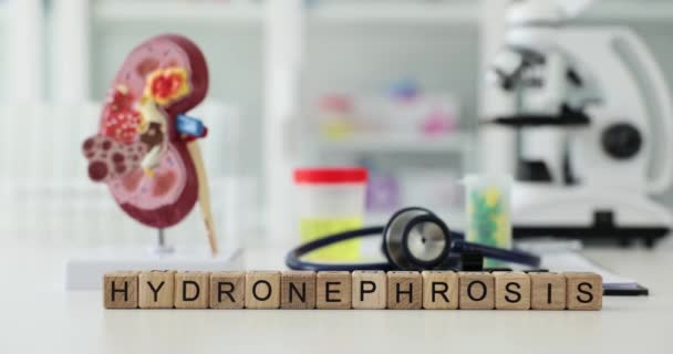 Hydronefrose Veroorzaakt Symptomen Diagnose Behandeling Kliniek Ontstekingsprocessen Blaas Urineleider — Stockvideo