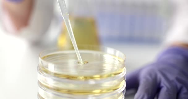 Científico Sostiene Pipeta Con Aceite Esencial Placa Petri Estudio Aceite — Vídeo de stock