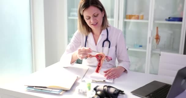 Médico Ginecólogo Señala Modelo Del Sistema Reproductivo Femenino Clínica Anatomía — Vídeos de Stock