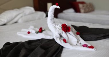 Kuğu havlularıyla romantik bir otel odası. Otel odasında turistler için sürpriz.