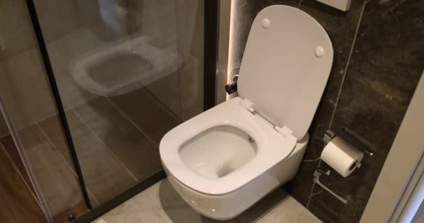 Tigela Vaso Sanitário Branco Cinza Elegante Banheiro Casa Limpa Moderna — Vídeo de Stock