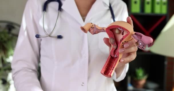 Hygienic Tampons Intimate Feminine Hygiene Menstruation Hands Gynecologist Medical Tamponing — Stok video