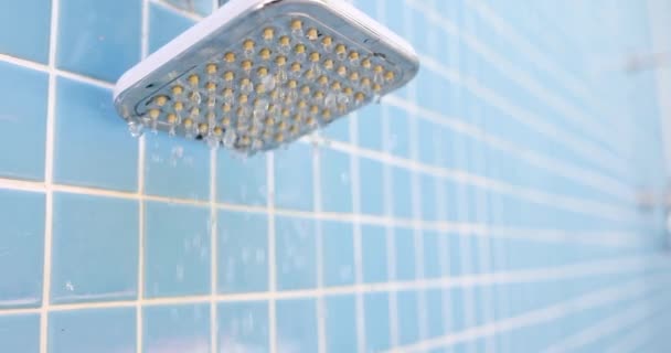 Zimna Woda Kapie Kranu Pod Prysznicem Filmie Poranna Świeżość Podczas — Wideo stockowe