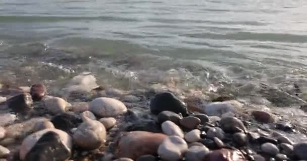 Shore Calm Blue Sea Pebble Beach Close Beautiful Clear Water — Video