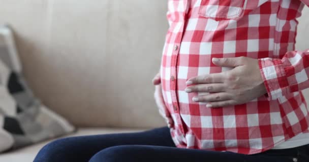 Pregnant Woman Red Plaid Shirt Strokes Her Belly Close Late — 비디오