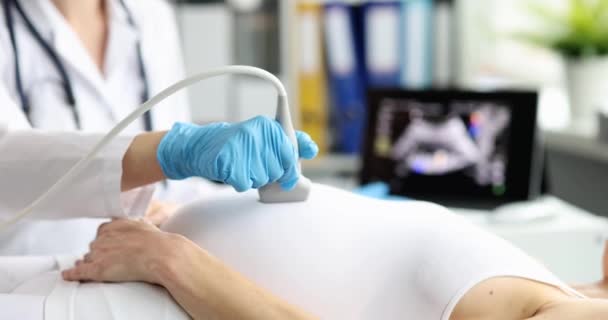 Doctor Probe Belly Pregnant Woman Close Ultrasound Late Pregnancy Preparation — стоковое видео
