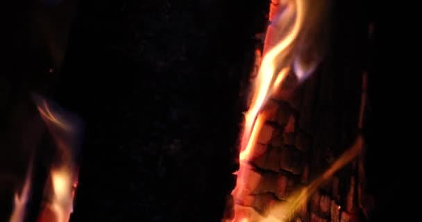 Burning Smoldering Wood Coals Fireplace Cooking Natural Grill Concept — Video Stock