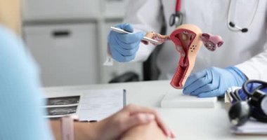 Doktor jinekolog, 4K filminde kadın hastalara rahmin plastik modeli ve yumurtalıklar hakkında açıklama yapıyor. Jinekolojik patoloji kavramının teşhisi ve tedavisi