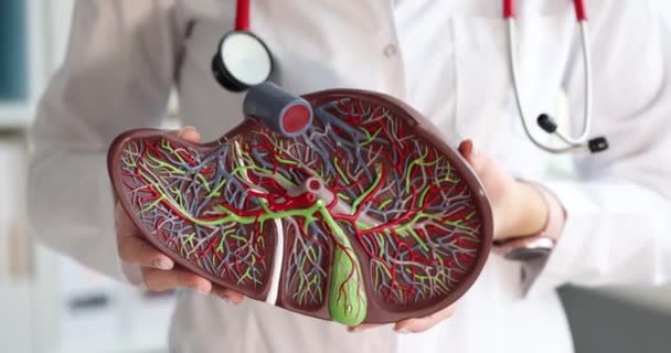 医学专家拿着一个模拟人类肝脏的模型 肝病及诊断概念 — 图库视频影像