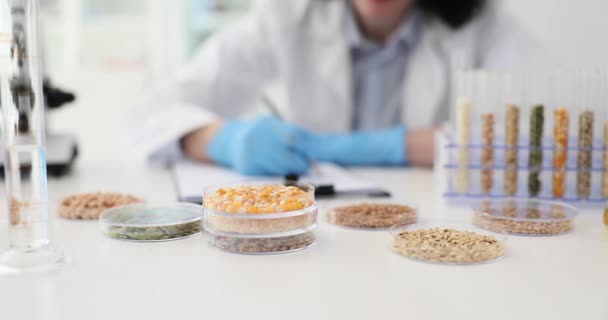 Laboratorium För Analys Livsmedelsprodukter Bovetekorn Studie Spannmål Och Genetiskt Modifierade — Stockvideo