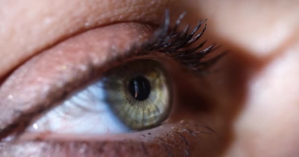 Close Beautiful Female Eye Side View Human Eye Eyelash Shadow — Vídeos de Stock