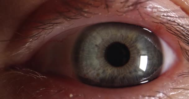 Nahaufnahme Von Schönen Blinkenden Grünen Augen Des Menschen Film Augenuntersuchungskonzept — Stockvideo