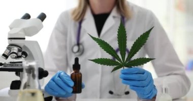 Bilim adamı laboratuvarda marihuana yağı ve yeşil bir yaprak tutuyor. Biyokimyacı kenevir yaprakları ile deney yapar veya eczacı laboratuvarda aromatik kenevir yağı çıkartır,