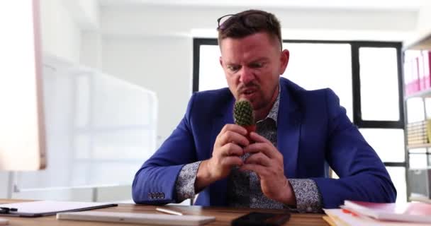 Zmatený Muž Pokouší Dotknout Pichlavého Kaktusu Nosem Zaťatým Zuby Ostrým — Stock video