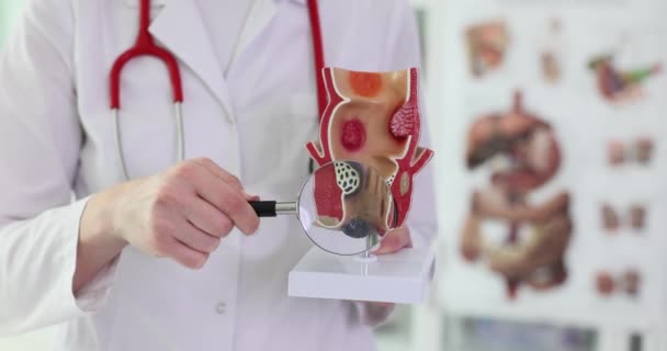 医生用放大镜向学生展示直肠的塑模 白衣医生与听诊器进行解剖学讲座 — 图库视频影像