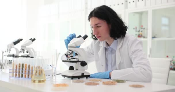 Langhåret Arbejdstager Registrerer Tilstedeværelsen Skadelige Bakterier Ved Hjælp Mikroskop Smækker – Stock-video