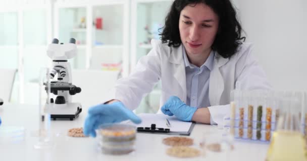 在现代实验室 实验室工作人员在显微镜下对培养皿中的谷物样品进行检查 新型晶粒慢速运动的科学家研究结构 — 图库视频影像
