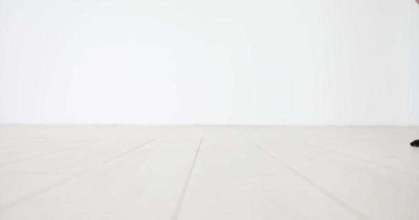 Πρόσωπο Μαύρες Κάλτσες Ρίγες Ουράνιου Τόξου Διασχίζει Φωτεινό Δωμάτιο Λευκό — Αρχείο Βίντεο