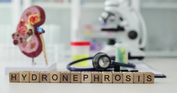 単語ヒドロネフシスは プラスチック腎臓および聴診器に対する木製のキューブで構成されています 分析のための実験装置 病気の診断 — ストック動画