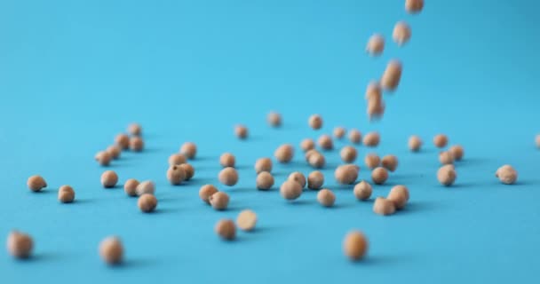 Grains Chickpeas Falling Blue Background Studio Advertising Organic Food Grown — Stock Video