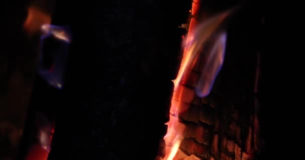 Καίγοντας Ξύλα Και Κάρβουνα Στο Τζάκι Μαγειρική Φυσικό Σχάρα Έννοια — Αρχείο Βίντεο