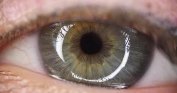 Человеческий Глаз Серо Зеленым Зрачком Концепция Коррекции Зрения — стоковое видео