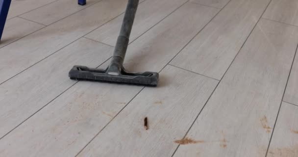 Cleaning Parquet Floor Domestic Appliance Light Room Using Vacuum Cleaner — Wideo stockowe