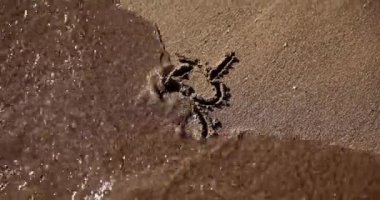 Kumun üzerindeki bitcoin, şeffaf bir deniz dalgasını yıkıyor, yakın çekim. Düşen kripto para birimi kavramı, yatırım