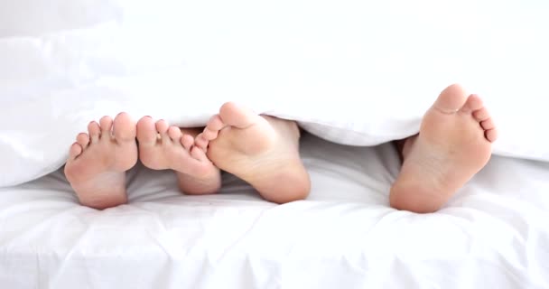 Чоловічі Жіночі Ноги Під Білою Ковдрою Крупним Планом Сексуальні Стосунки — стокове відео