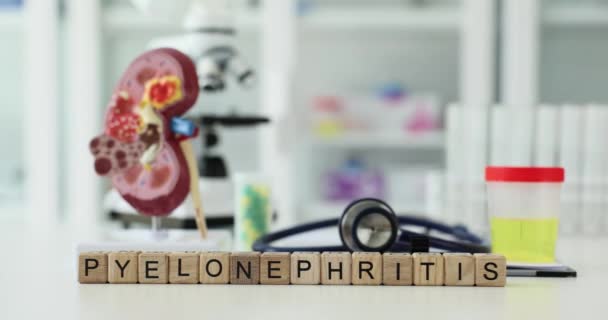 Kelime Piyelonefrit Klinikte Insan Böbrek Modelleri Pyelonefrit Semptomlara Tedaviye Neden — Stok video