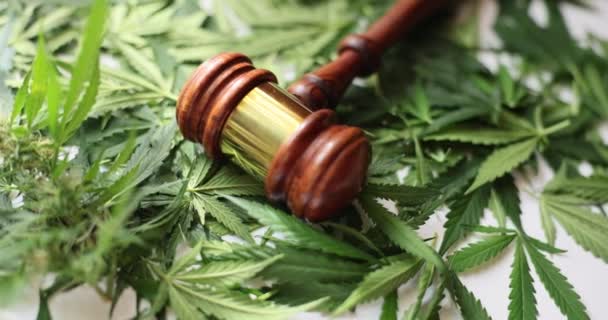 Giudice Martelletto Con Foglie Canapa Legalità Della Cannabis Medica Divieto — Video Stock