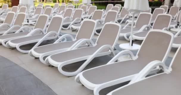 Mooie Grijze Lichte Ligstoelen Bij Het Zwembad Natuur Tegen Achtergrond — Stockvideo