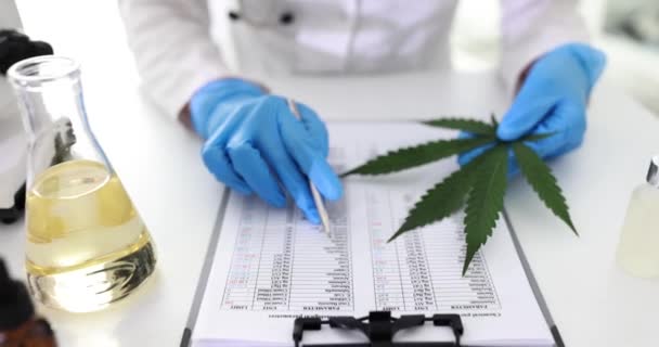 Científico Trabajando Laboratorio Estudiando Las Propiedades Marihuana Aceite Medicina Herbal — Vídeos de Stock