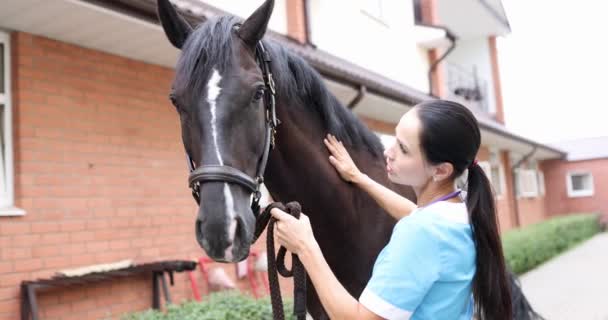 Kobieta Weterynarii Głaskająca Konia Czystej Krwi Rolniczym Filmie Pomoc Medyczna — Wideo stockowe