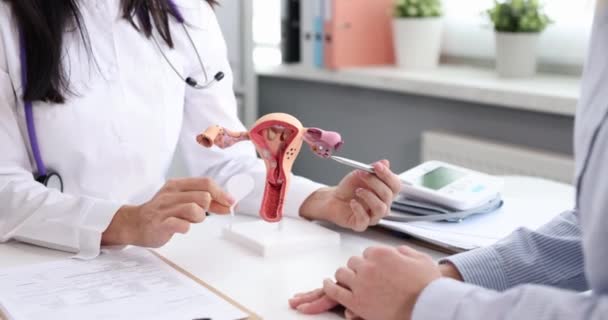 Dokter Gynaecoloog Tonen Patiënt Hoe Bevruchting Plaatsvindt Model Van Uterus — Stockvideo