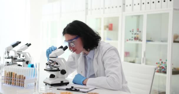 科学的目的のために収穫を調べる男性科学者 学生の男は 実験室で穀物とガラス製のテーブルに座って 顕微鏡を調べる — ストック動画
