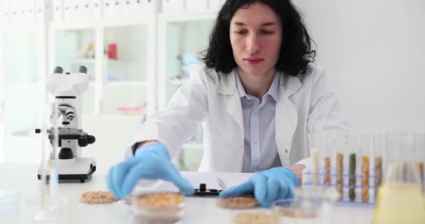 Laboratoř Pro Analýzu Potravinářských Výrobků Pohanky Kukuřičné Vědec Provádějící Výzkum — Stock video