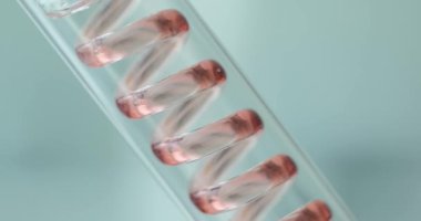 Kırmızı sıvı, laboratuvar ekipmanlarıyla spiral tüpten akıyor. Doğal madde ve çiçeklerden yağ elde etmek